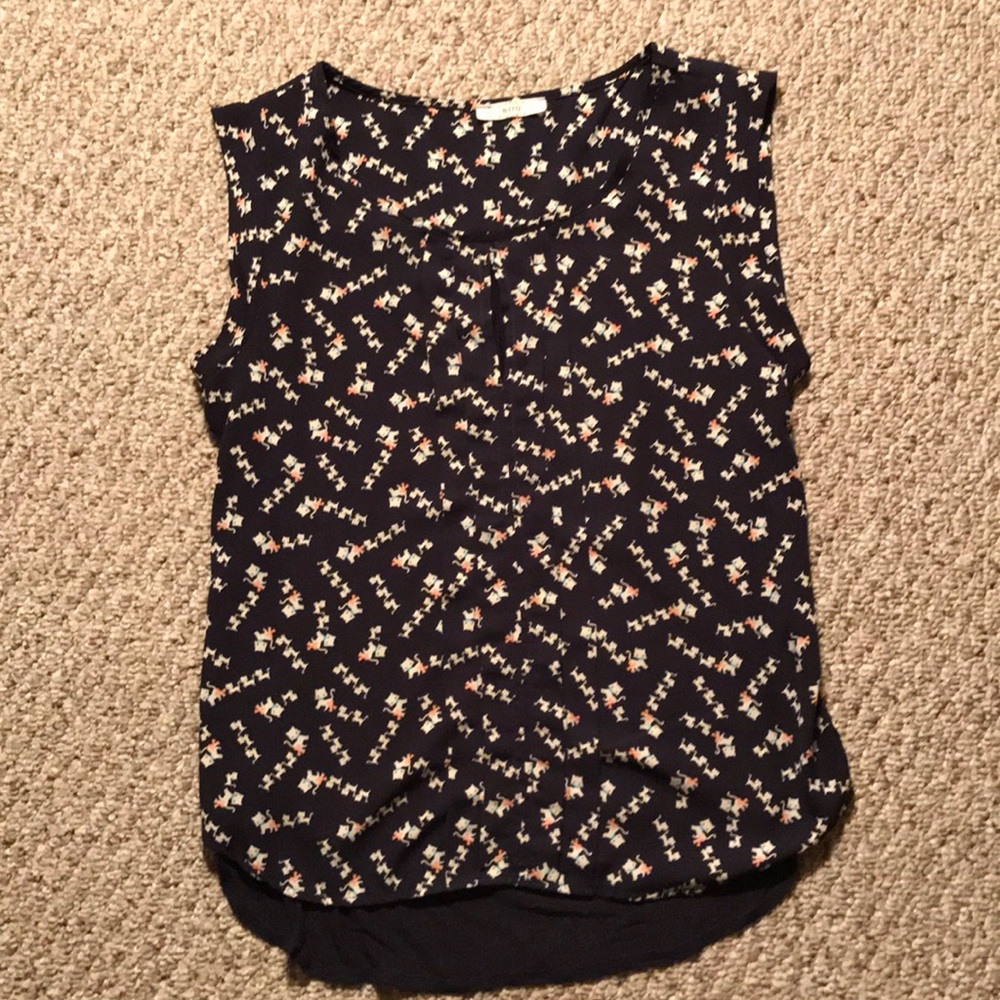 Ezra adorable cat shirt
